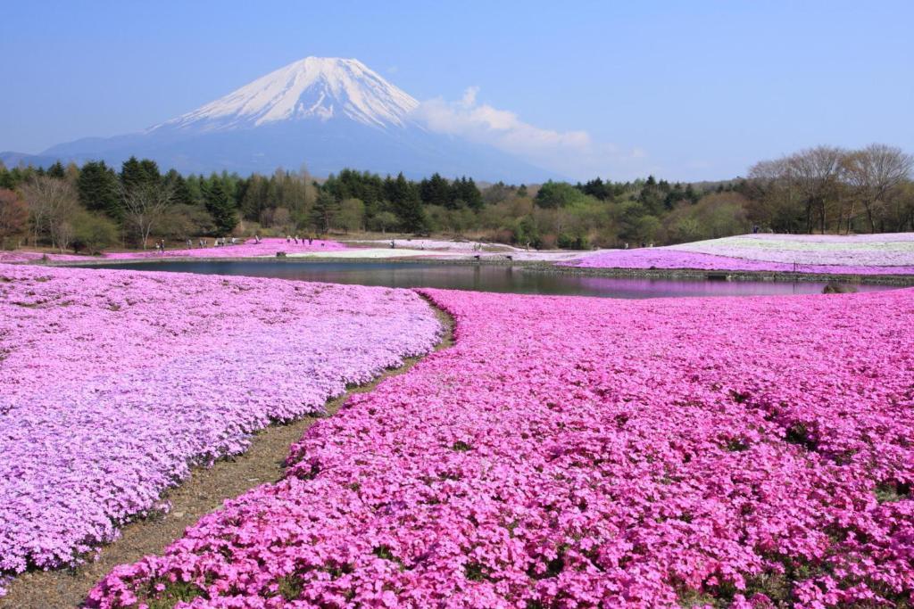 Manten-No-Hoshi Hakone Dış mekan fotoğraf